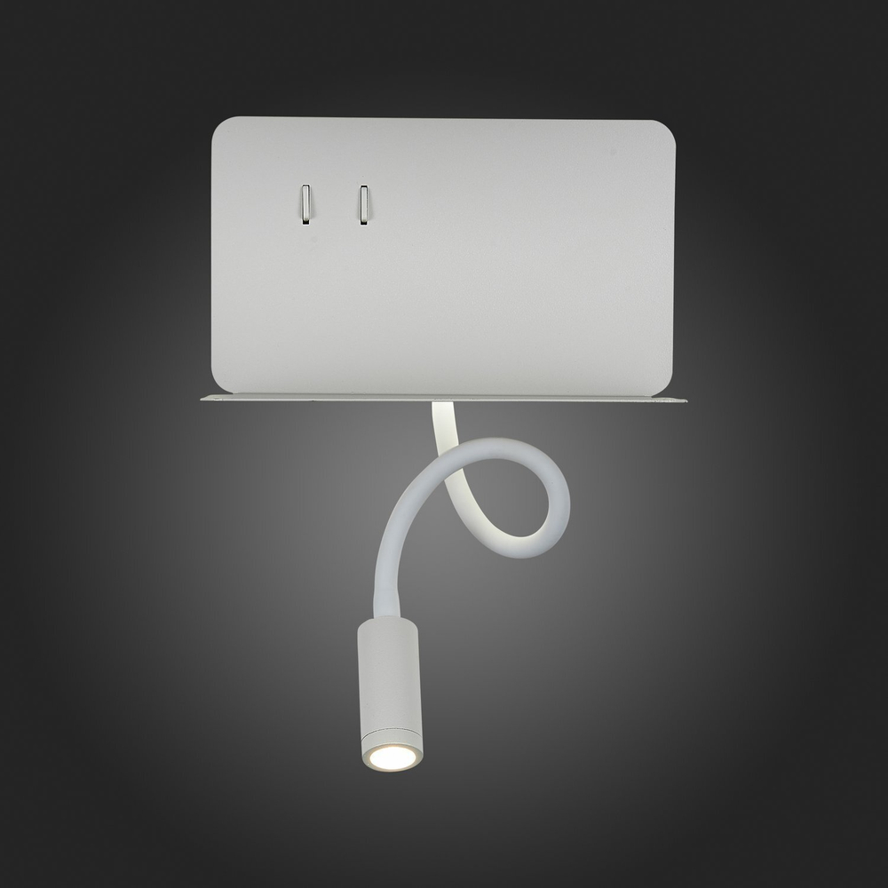 Светильник настенный ST Luce SL1576.501.02