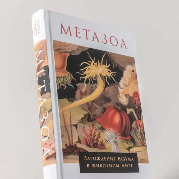 Метазоа: Зарождение разума в животном мире