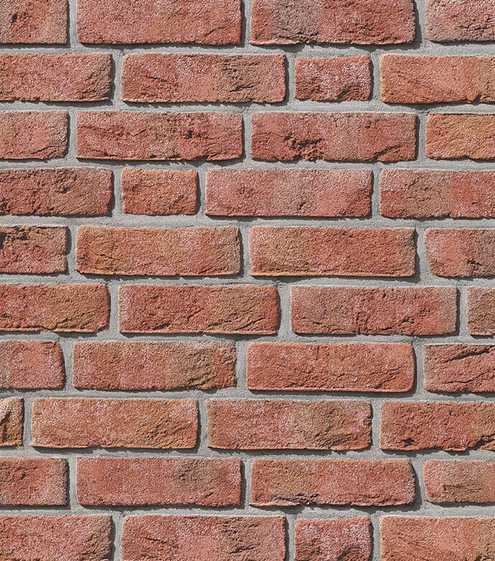 Roben - Formback, hellrot bunt, NF14, 240x14x71 - Клинкерная плитка для фасада и внутренней отделки