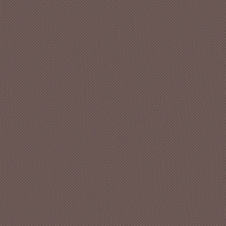 Велюр Blitz / Блитц