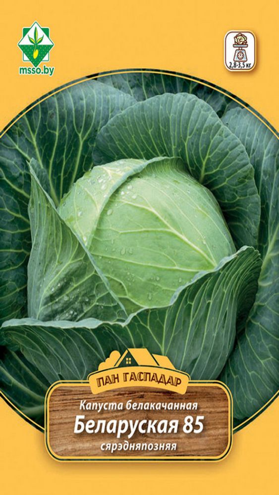 Капуста б/к "Белорусская 85 (Пан Гаспадар) " 4г, Германия.