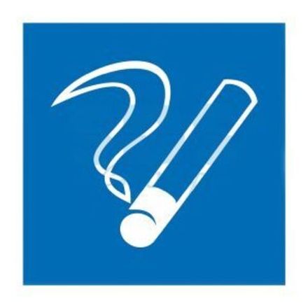 Табличка ПВХ информационный знак «Место курения» 200х200мм REXANT