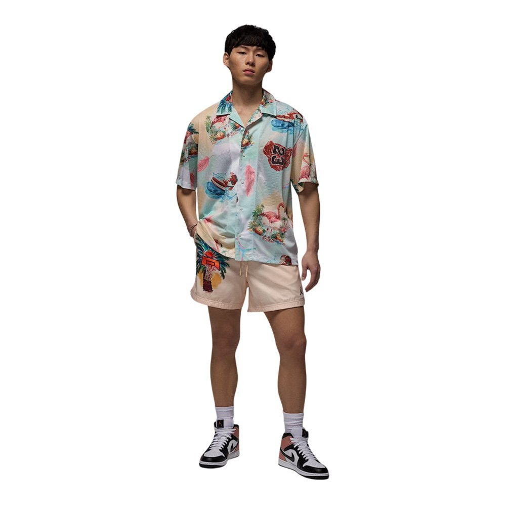 Баскетбольные шорты Jordan Essentials Beige Shorts