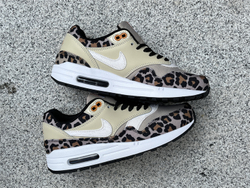 Nike Air Max 1 BV1977-200