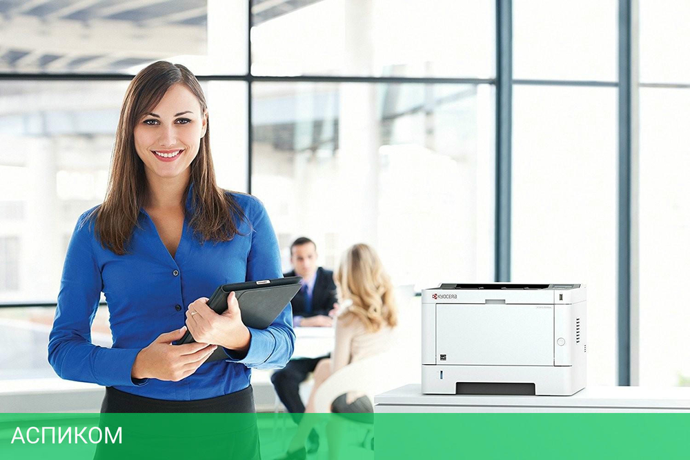 Принтер Kyocera Ecosys P2040DN (1102RX3NL0)