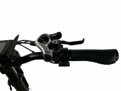 Электровелосипед OxyVolt Low Fat Ranger