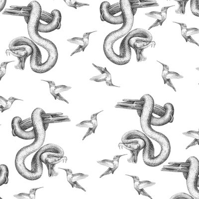 рисунок змея и колибри