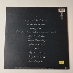 Винтажная виниловая пластинка LP Introducing The Hardline According To Terence Trent Darby (Holland 1987)