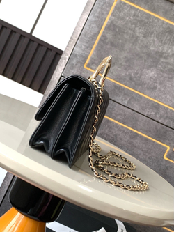 Chanel Bag (2 variants)