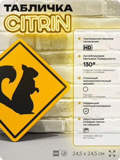 Табличка прикольная "Осторожно, белки" на дверь и стену, информационная и предупреждающая, декоративный знак, 24,5х24,5 см, пластиковая, Айдентика Технолоджи
