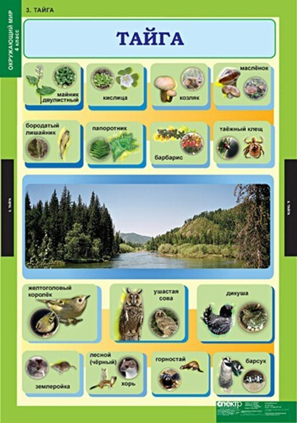 Комплект таблиц "Окружающий мир 4 кл."; 15 таблиц