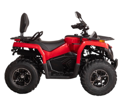 Квадроцикл Bizon YK200 BASIC CARB