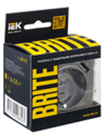 BRITE Розетка 1-местная с заземлением с защитными шторками 16А с USB A+A 5В 3,1А РЮш10-2-БрС сталь IEK