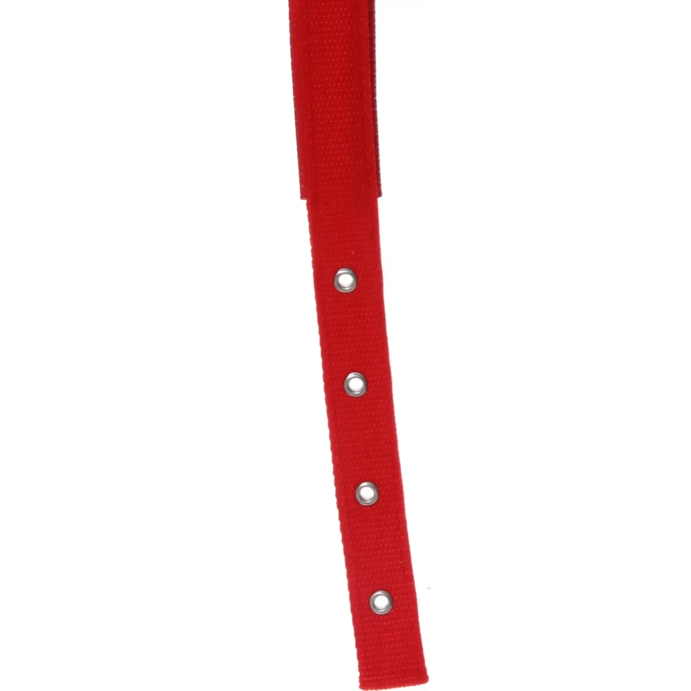 Ошейник для собак однотонный «ЗООЛЕНД БРО», цвет красный, 2,5*54см (бирка)