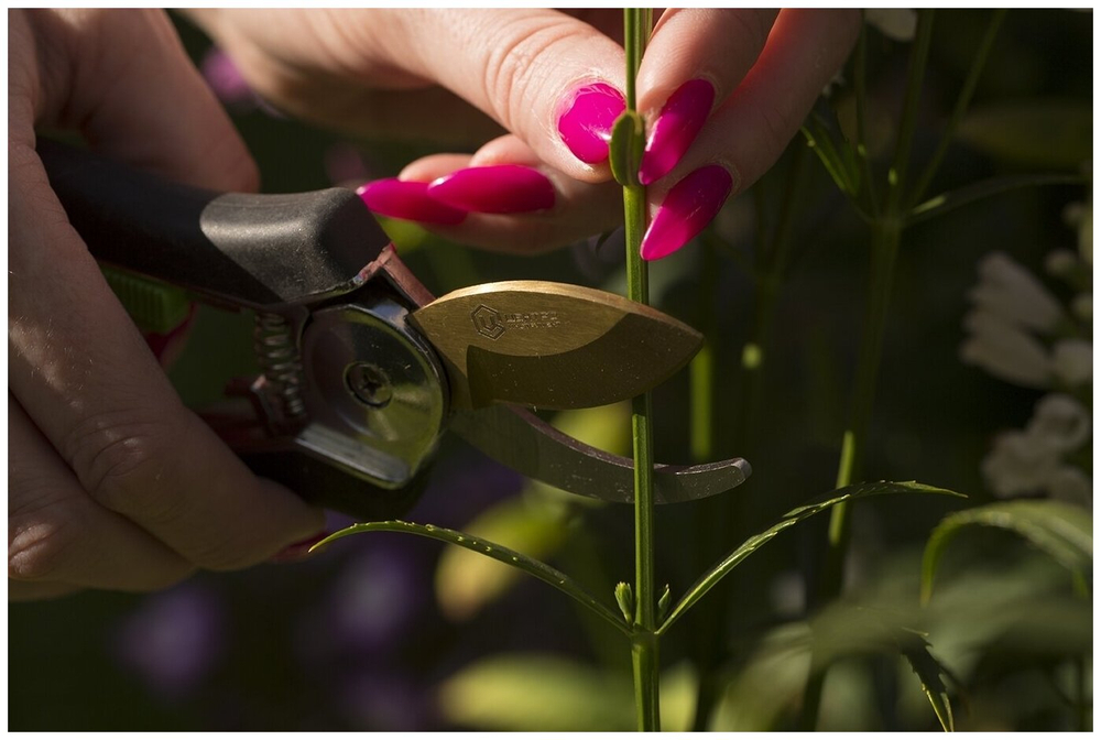 1383 ЦИ Секатор лепестковый TITANIUM