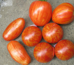 Томат Red Elberta Peach