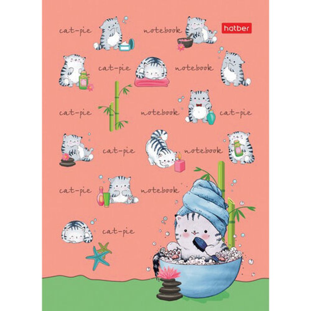 Блокнот МАЛЫЙ ФОРМАТ (105х145 мм) А6, 24 л., скоба, мелованная бумага, HATBER, "Приключения Кота" (16 дизайнов), 24Б6В1