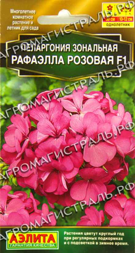 Пеларгония Рафаэлла розовая Аэлита Ц