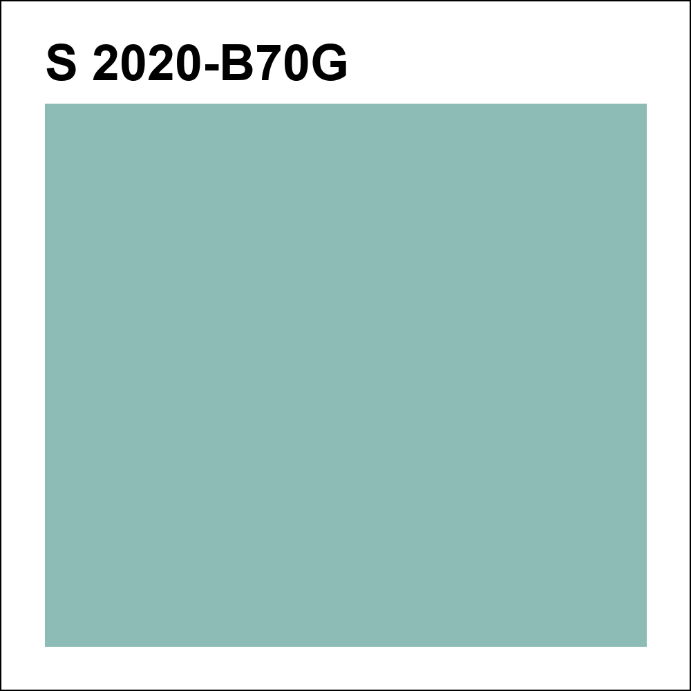 S 2020-B70G за кг