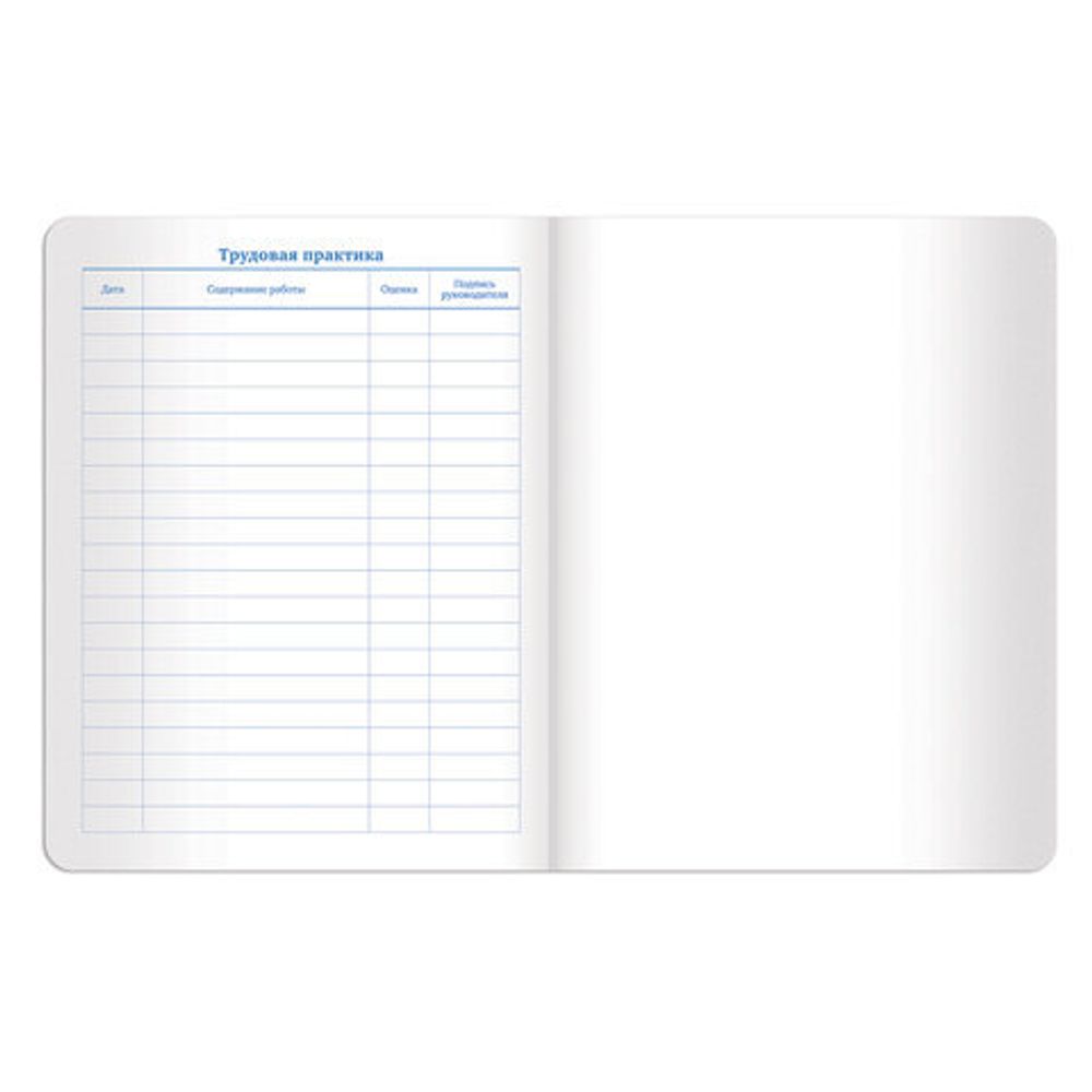 Дневник 1-11 класс 48 л., обложка кожзам (гибкая), термотиснение, BRAUBERG "ORIGINAL", коричневый,105445