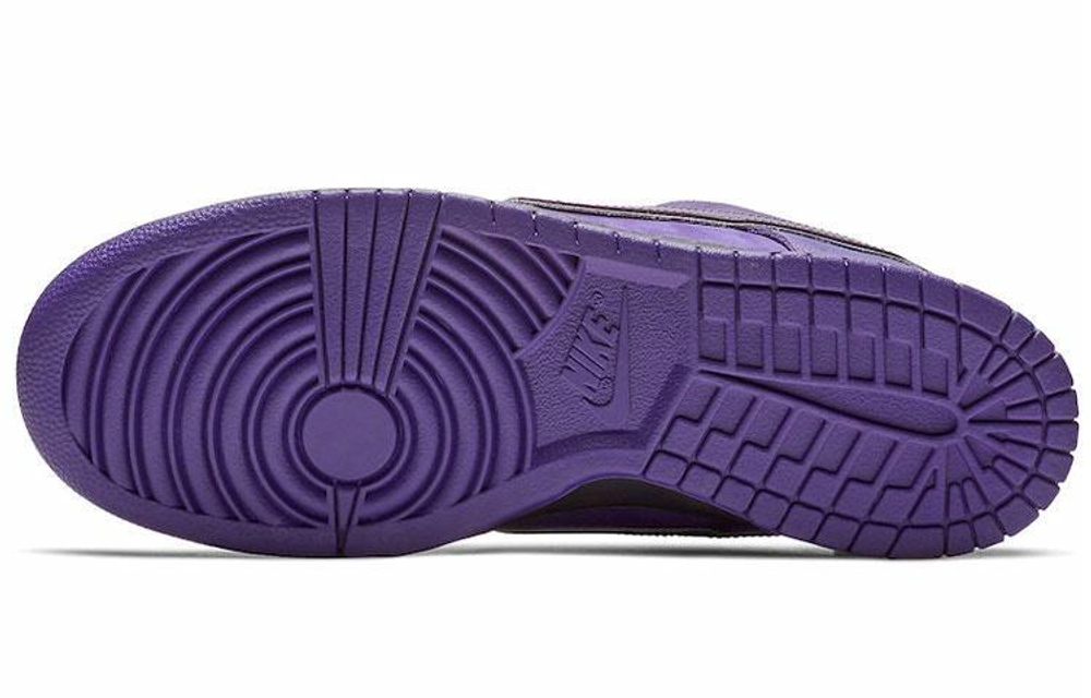 Кроссовки Concepts X Nike Dunk Sb Pro