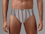 Трусы-слипы в широкую и узкую полоски (Размер: XL) (Цвет: серый)