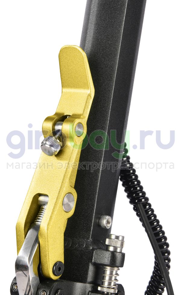 Электросамокат WHITE SIBERIA NERPA PRO 3600W Siberian Gold (золотой)