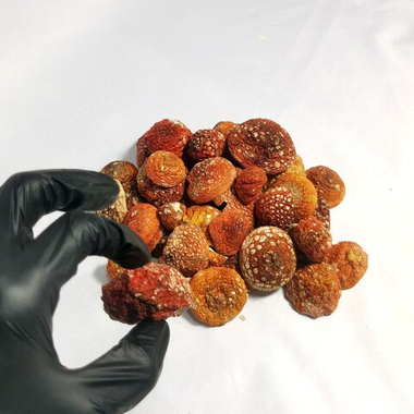 Мухомор красный отборные шляпки 2025