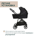 Коляска Chicco Seety 2 в 1 Etna Black