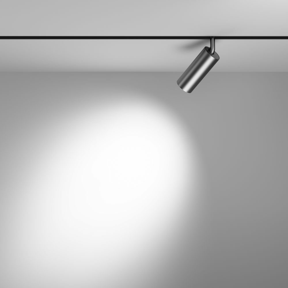 Трековый магнитный светодиодный светильник Maytoni Exility TR032-2-12W3K-S-MG