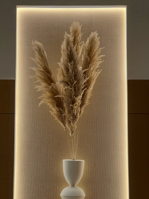 Пампасная трава сухоцвет