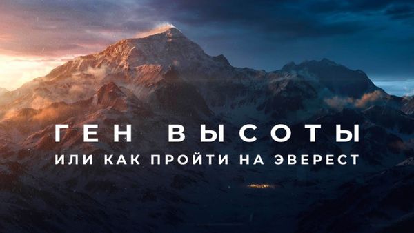 Ген высоты (2017): что заставляет людей рисковать всем ради вершины?