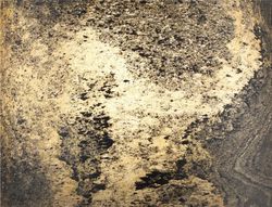 Бра Odeon Light Bergi 5064/1W