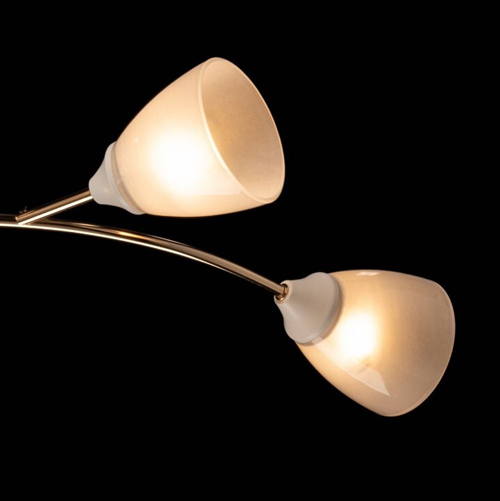 Потолочная люстра De City Восторг 25 242018006