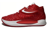 Кроссовки Nike Kd 14 Tb 14