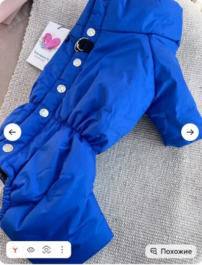 Зимний комбинезон для собак (мальчик)