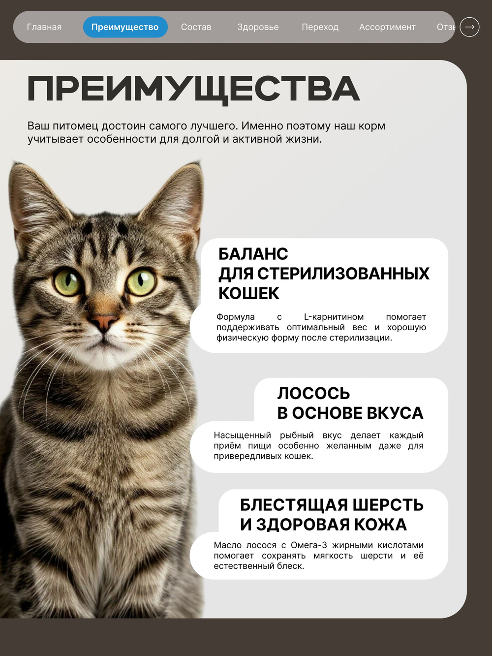 Корм сухой для стерилизованных кошек всех пород, с лососем, 400 гр, QUATTRO