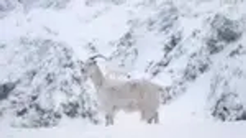 Вода негазированная Evian Спорт, 0,75 л