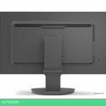 Монитор NEC MultiSync EA242F (черный)