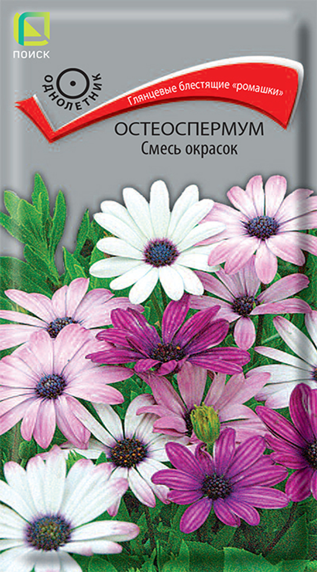 Остеоспермум Смесь окрасок