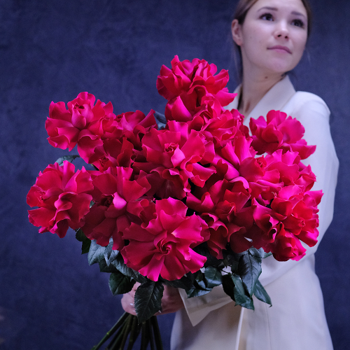 Купить Букет французских роз Ruby Rose 15 шт.