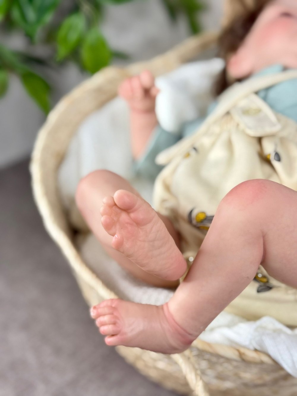 Кукла Реборн мягконабивная 50см (FA-358)