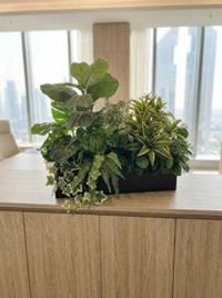 Композиция Офисная из искусственных растений