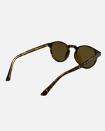 Golden Age Turt Polar Sun