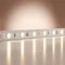 Светодиодная лента Базовая 12В 2835 9,6Вт/м 4000K 5м IP 20 201169 Led Strip 201169