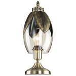 Citilux Garuda CL420813 Настольная лампа Бронза
