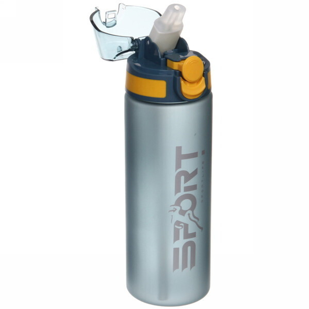 Бутылка спортивная DB-1471 (650 мл)