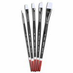 Angelus набор кистей Brush set of Five 799-5-100