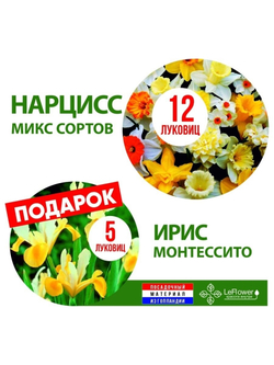 Нарцисс микс сортов 12 луковиц