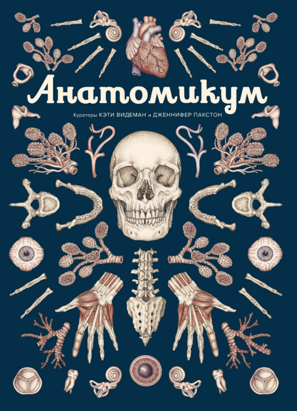 ls голенькие девочки 